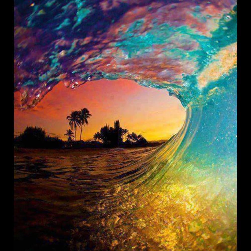 Meet your Posher, Karina